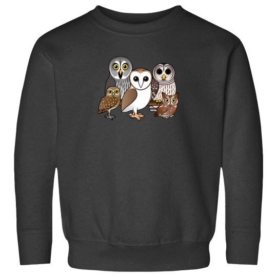 Discover Five Cute Owls By Birdorable Sweatshirts