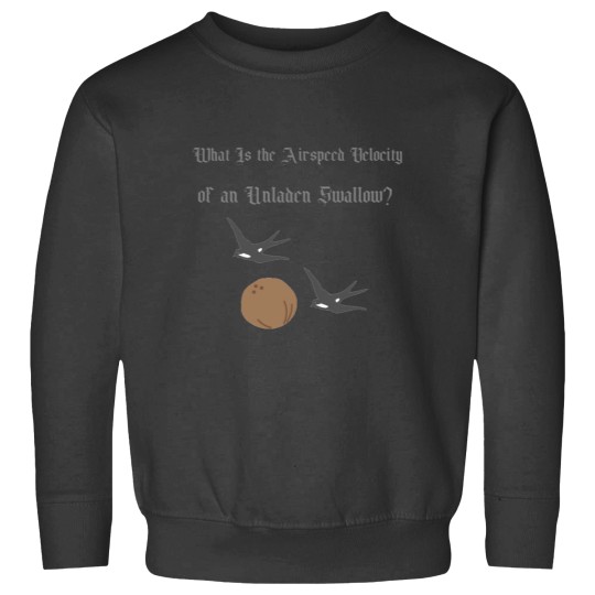 Discover Velocity of an Unladen Swallow Sweatshirts