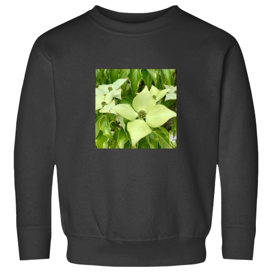 Discover White Truffle(1) Sweatshirts