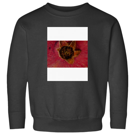 Discover Plums and Oranges Active Sweatshirts