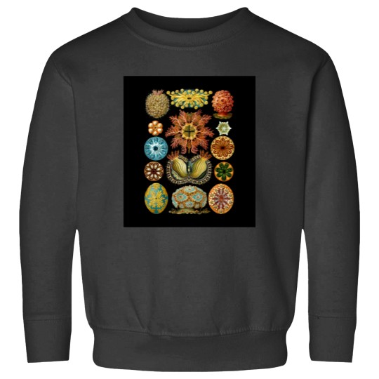 Discover Ernst Haeckel - Scientific Illustration - Ascidiae Sweatshirts