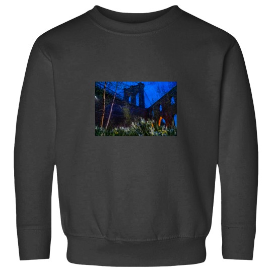 Discover brooklyns Bridge parks Sweatshirts