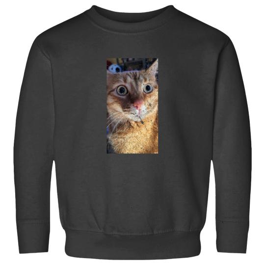 Discover What Sweatshirts