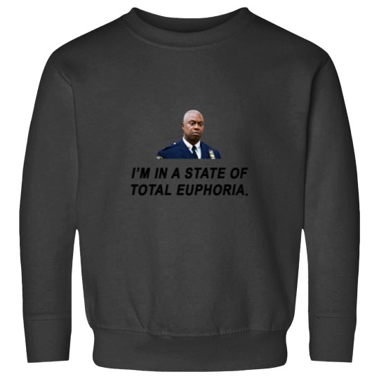 Discover Brooklynss Nine Nine Captain Holt Sweatshirts
