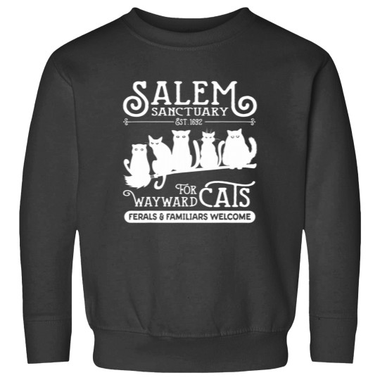 Discover Funny Witch Salem Black Catt Sweatshirts