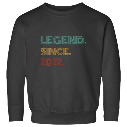 Discover Kids 2 Years Old Legend Since 2022 2nd Birthday Sweatshirts
