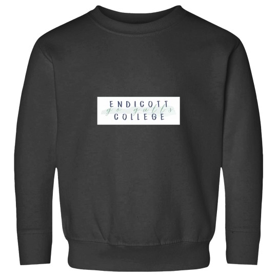 Discover Endicott College Go Gulls Sweatshirts