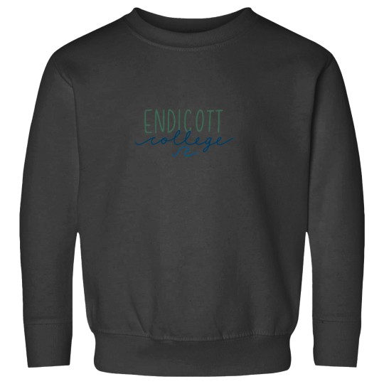 Discover Endicott College Sweatshirts