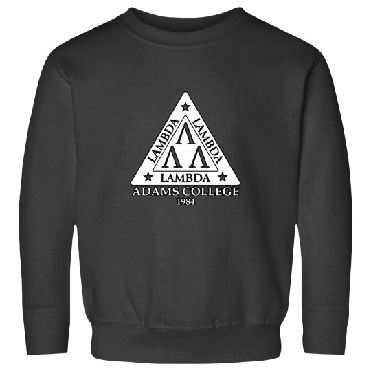 Discover Lambda Sweatshirt