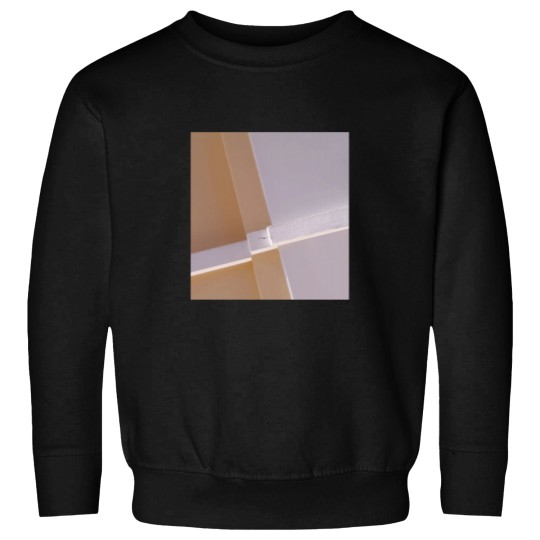 Discover Wall Sweatshirts