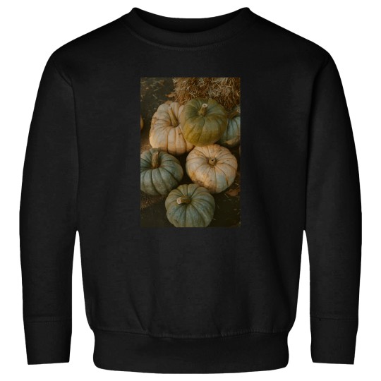 Discover A Pumpkin Patch Portrait Sweatshirts