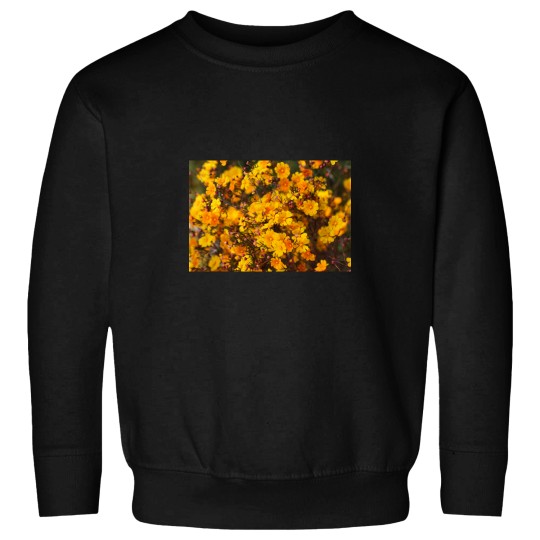 Discover Western Australian Wildflower - Orange Stars Sweatshirts