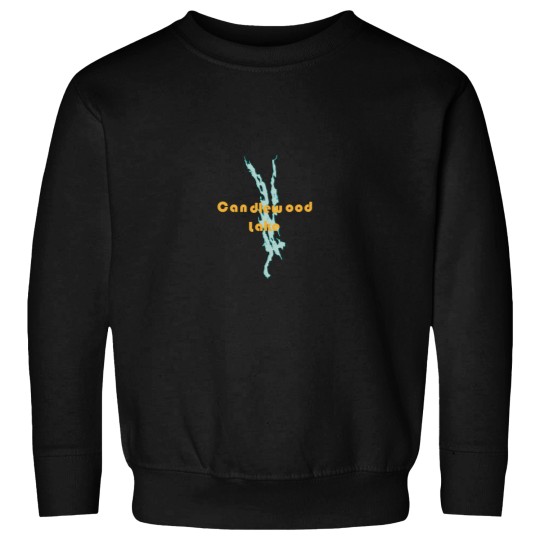 Discover Candlewood Lake CONNECTICUTss Sweatshirts