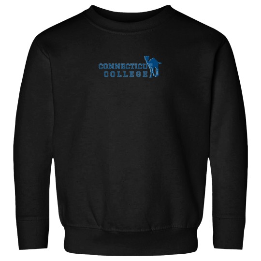 Discover CONNECTICUTss college Sweatshirts