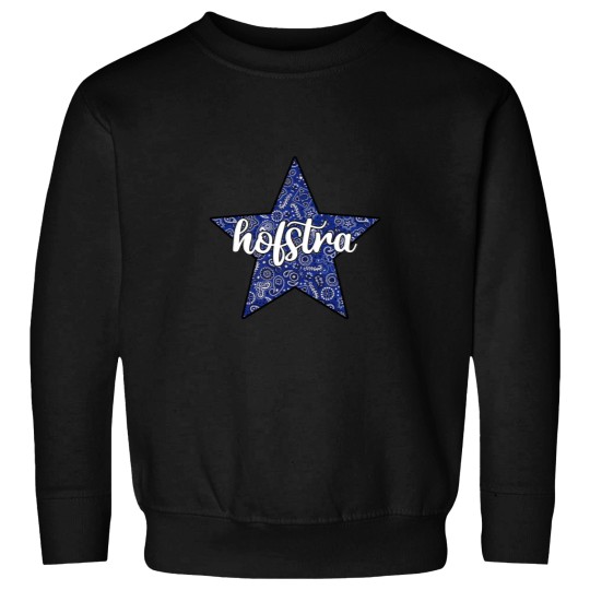 Discover Hofstra University  15 Sweatshirts