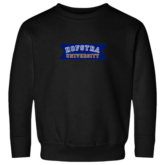 Discover Hofstra University  21 Sweatshirts