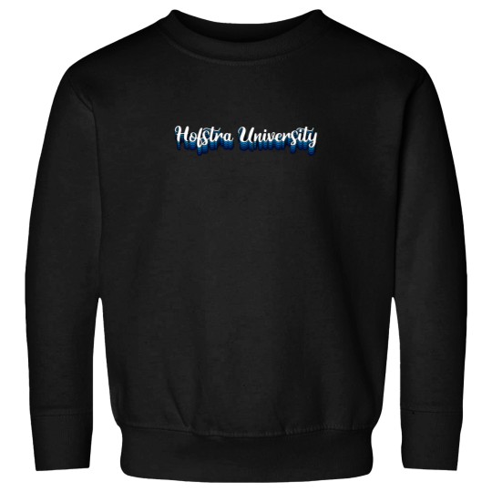 Discover Hofstra University  5 Sweatshirts