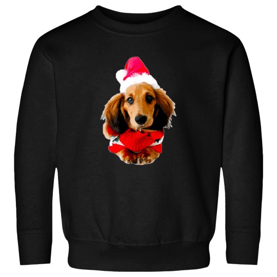 Discover Dachshund Christmas Puppy Dog Sweatshirts