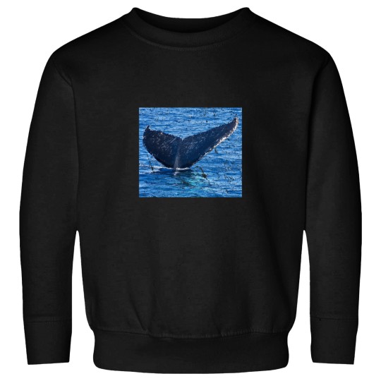Discover Whales tail Hervey Bay Sweatshirts