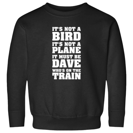 Discover Dave on the train Sweatshirts