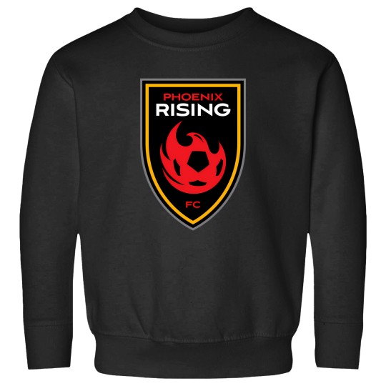 Discover Phoenix Rising Sweatshirts