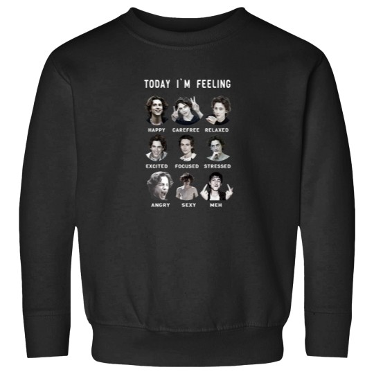 Discover Timothee Chalamet Funny Feelings Essential Sweatshirts