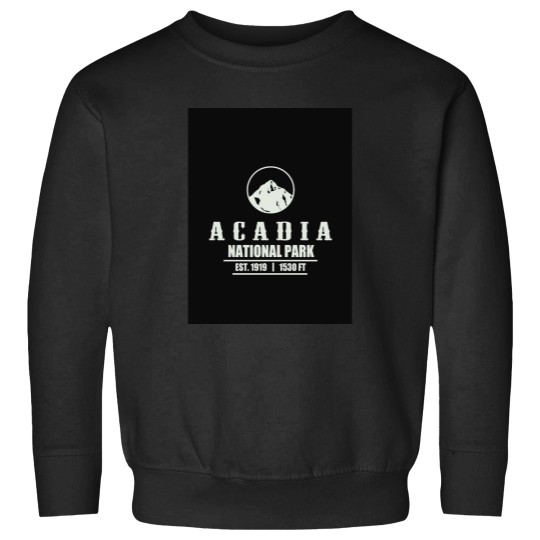 Discover Acadia Pride Region State Est 1919 Shirt Graphic Sweatshirts