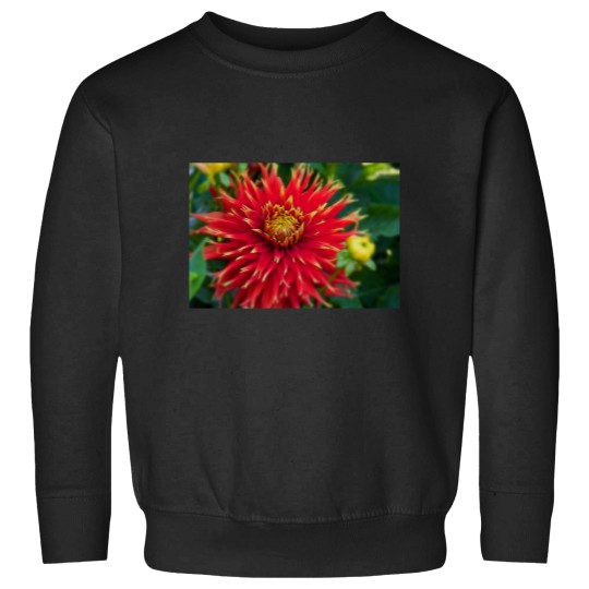 Discover Canada. Vancouver Island. Butchart Gardens. Flower. Sweatshirts