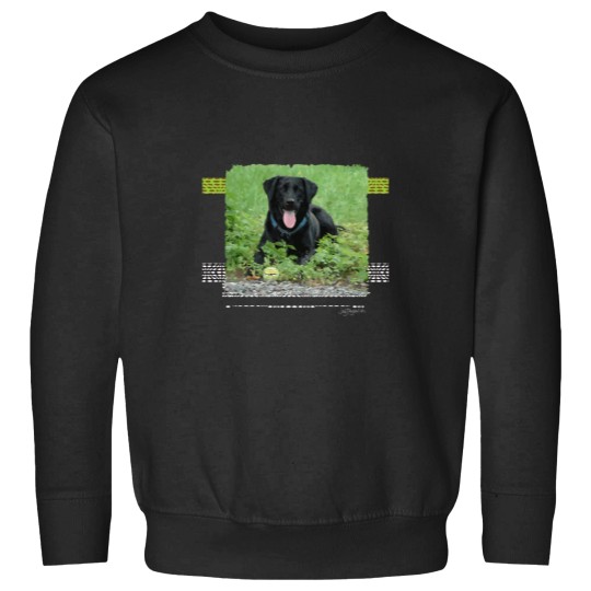 Discover Loki Black Labrador Sweatshirts