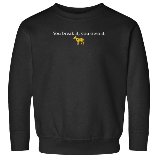 Discover You Break It You Own It Caitlin Clark Iowa T-Shi Sweatshirts