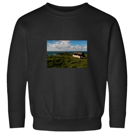 Discover Rusty Cannon Sweatshirts