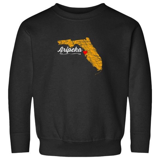 Discover City of Aripeka FLORIDA FL Merch Souvenir Graphi Sweatshirts