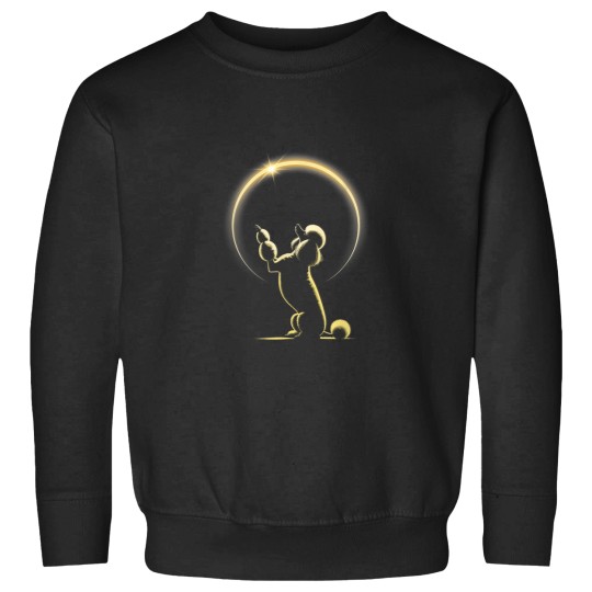 Discover Total Solar Eclipse April 8th 2024 Curious Poodl Sweatshirts