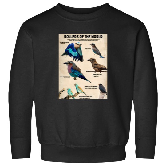 Discover coraciidae roller birds of the world conservation science poster Sweatshirts