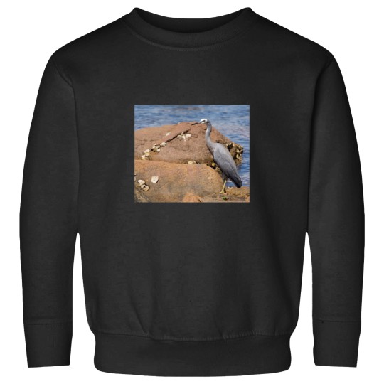 Discover heron at the beach Sweatshirts