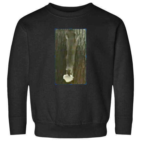 Discover Funny squirrel with nut Sweatshirts