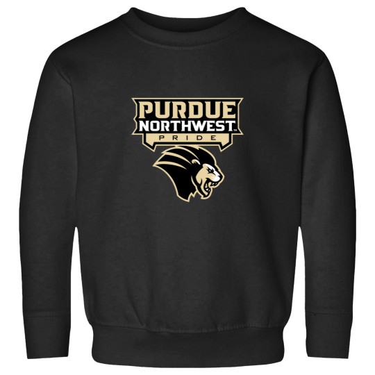 Discover Purdue University Northwest Sweatshirts