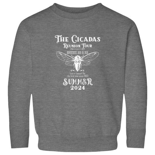 Discover Cicada Concert Tour 2024 Sweatshirts