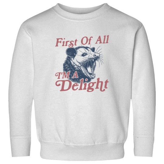 Discover First of All I'm a Delight Sarcastic Funny Opossum  Angry Possum Sweatshirts