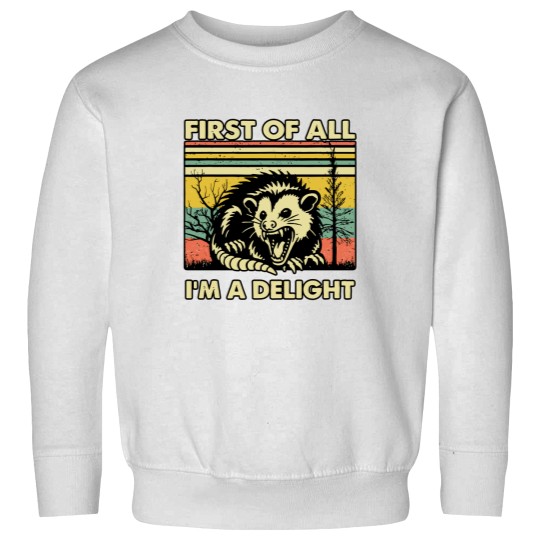 Discover Funny Opossum Sweatshirts Angry Opossum Sweatshirts, First Of All I'm A Delight