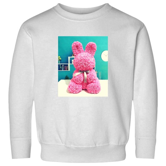 Discover newjeans -png Sweatshirts
