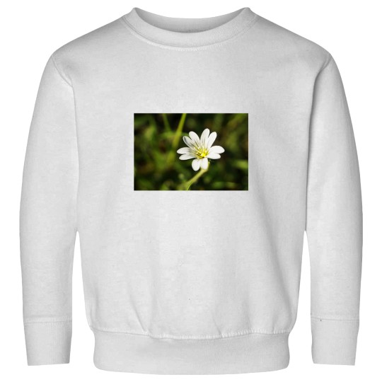 Discover White Flower - European chickweed Premium Scoop Sweatshirts