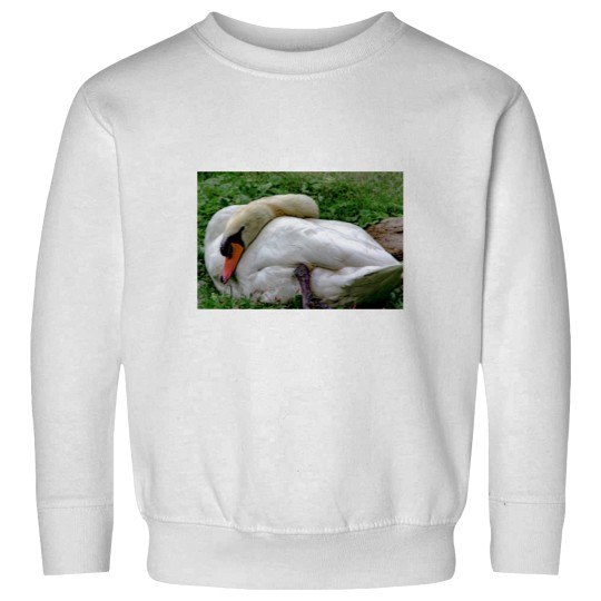 Discover Swan 1 Sweatshirts