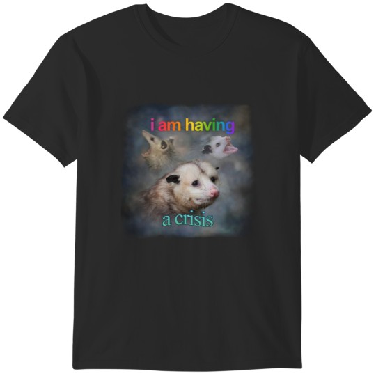 Discover I am having a crisis possum word art Classic Baby T Shirts
