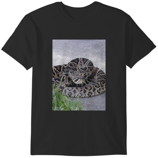 Discover Eastern Diamondback Rattlesnake 009 T-Shirts