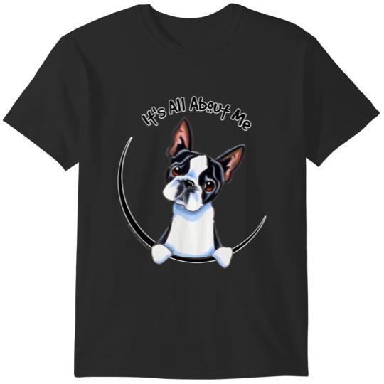 Discover Boston T-Shirts