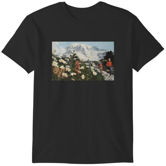 Discover their satanic majesties second request   C T-Shirts