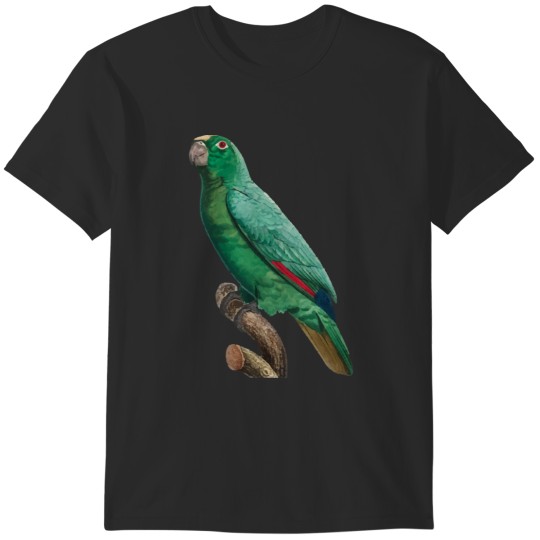 Discover Cute Bird 2 jimmy buffett to p sellin g widodo ganteng transparent T-Shirts