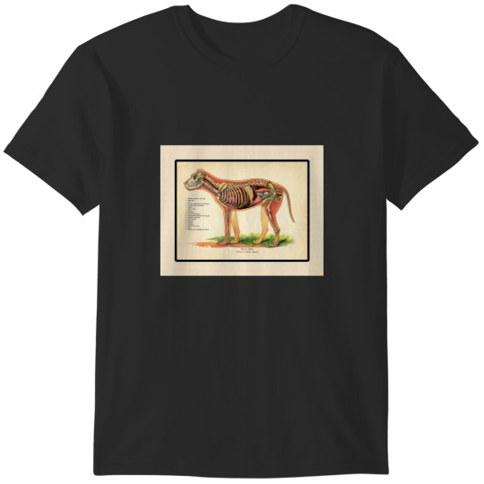 Discover WSU VET MED HUSBAND Pumpkin T-Shirts