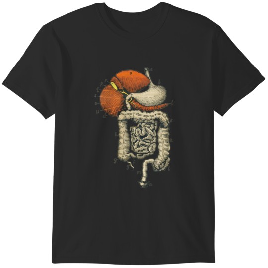 Discover Digestive System Diagram T-Shirts